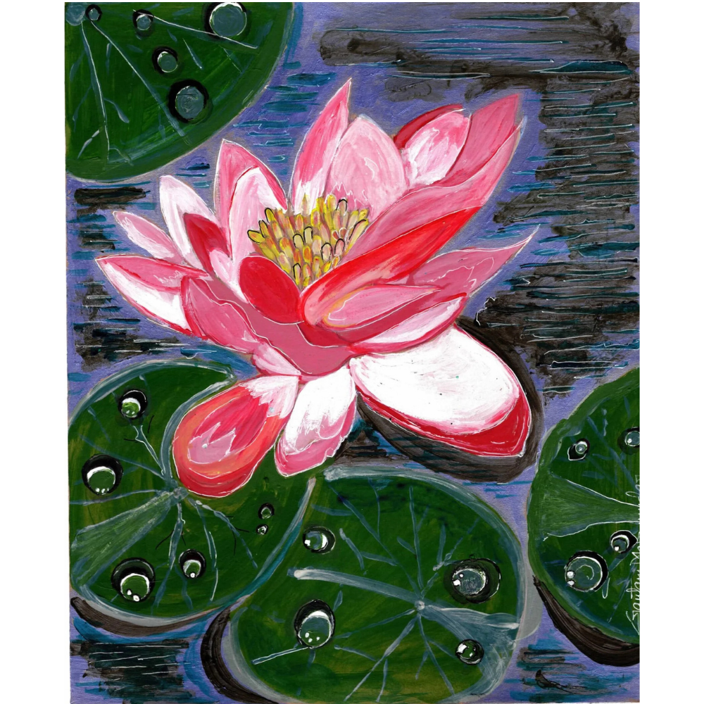 WATER LILY ON DEW LEAVES