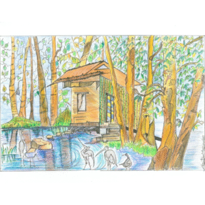 The Bamboo House