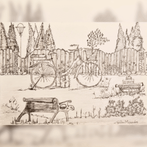 Park with a Bench