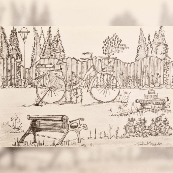 Park with a Bench
