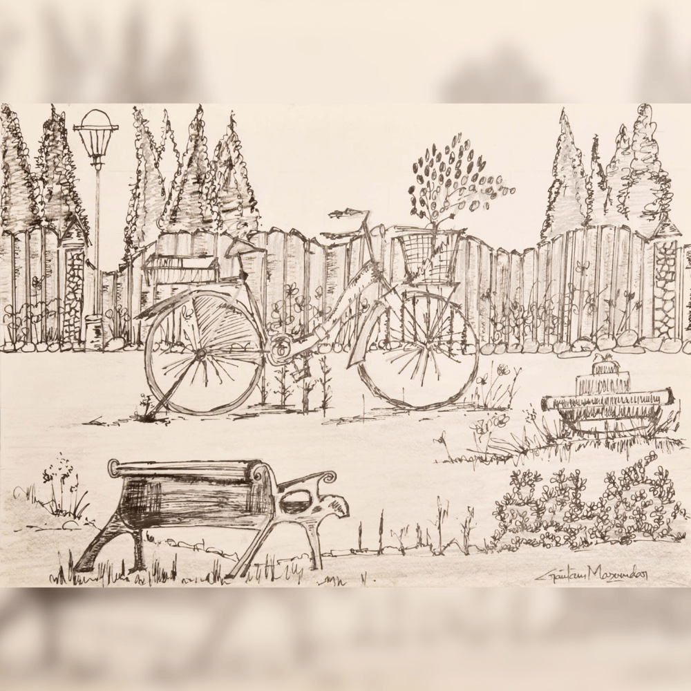 Park with a Bench