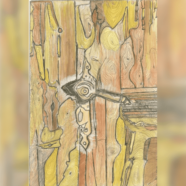 Real Wood Door With Lock