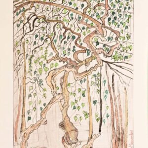 The Banayan Tree