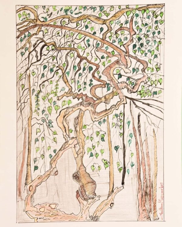 The Banayan Tree