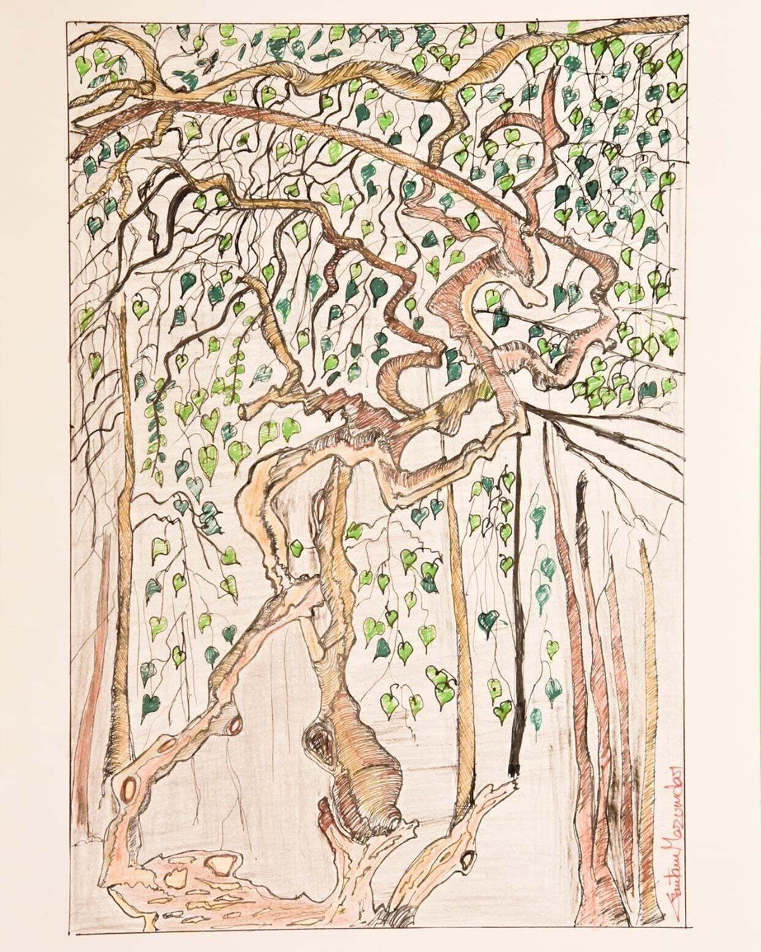 The Banayan Tree