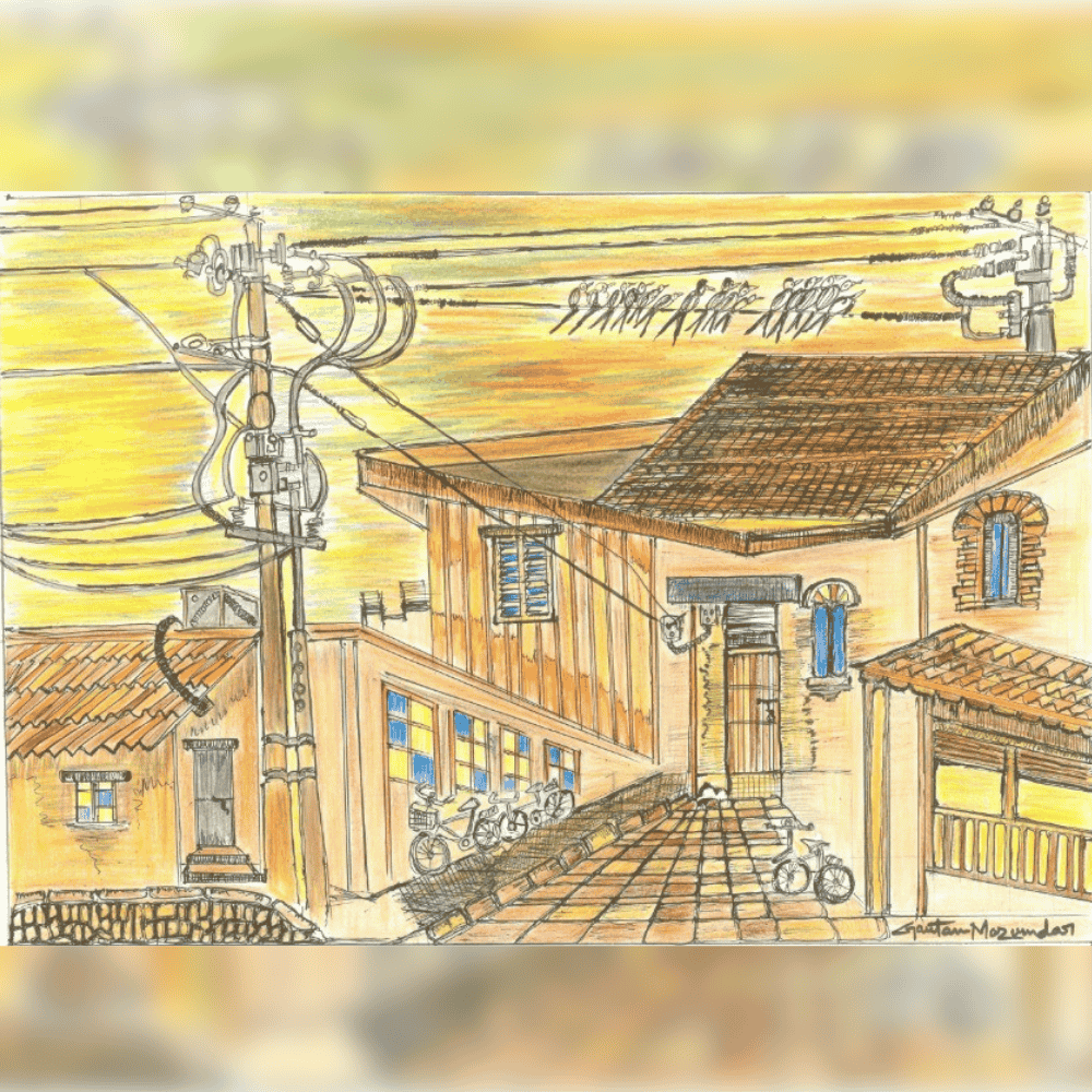 The Bird on Electric Poles