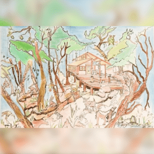The Forest House and Animals