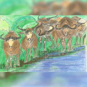 The Herd of Buffaloes