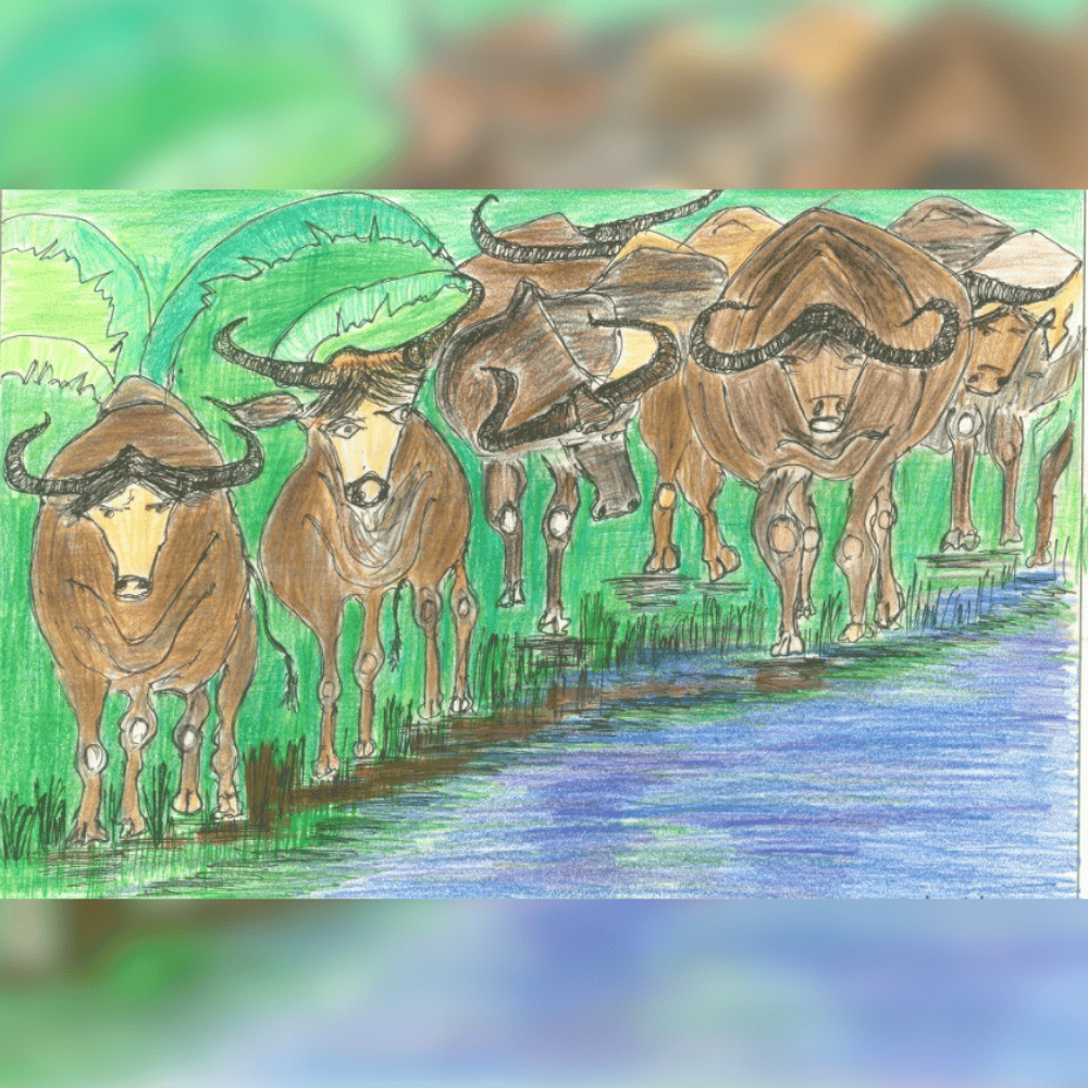 The Herd of Buffaloes