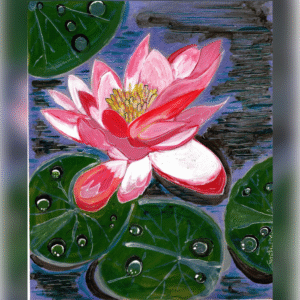 WATER LILY ON DEW LEAVES